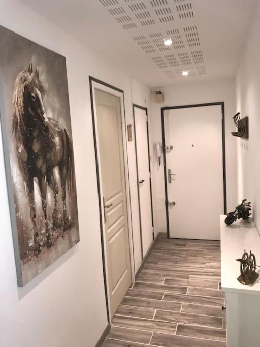 Hyper Centre De Vieux Port Appartement